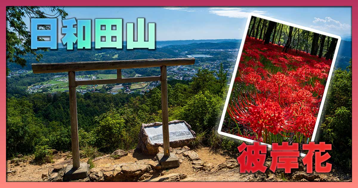 日和田山とヒガンバナ