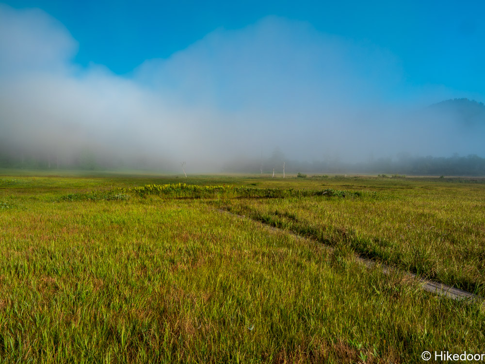 尾瀬ヶ原