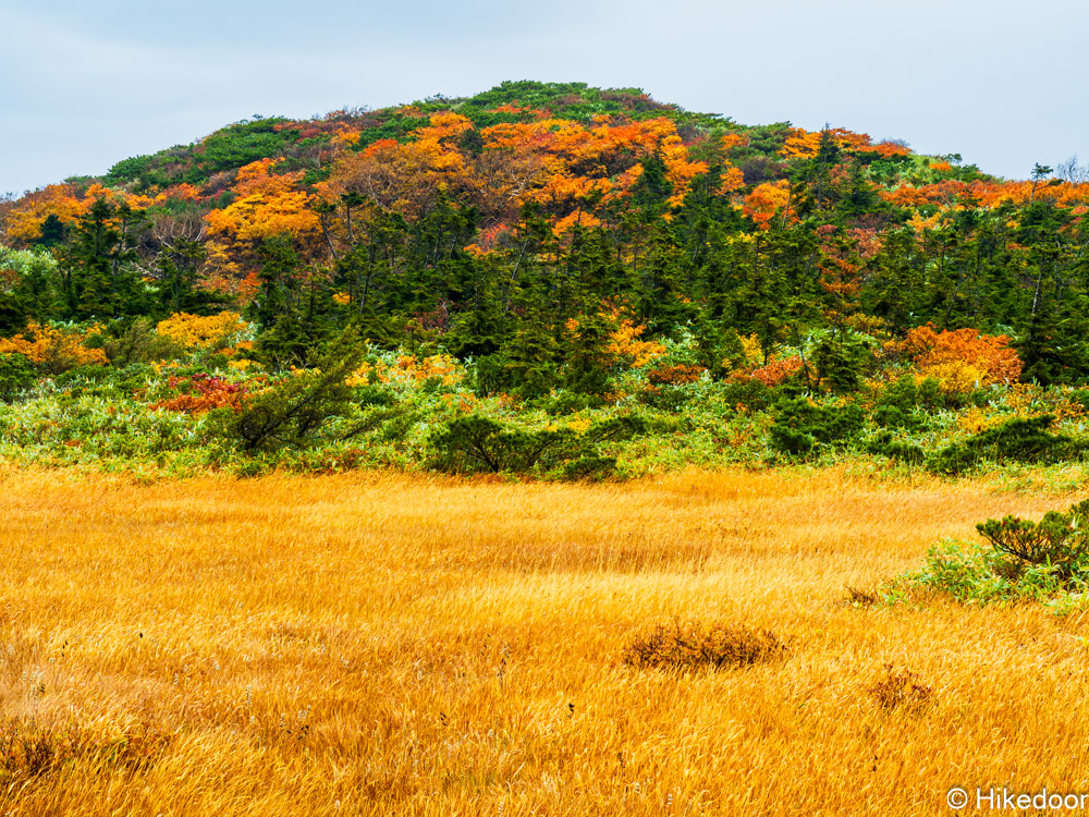 栗駒山紅葉