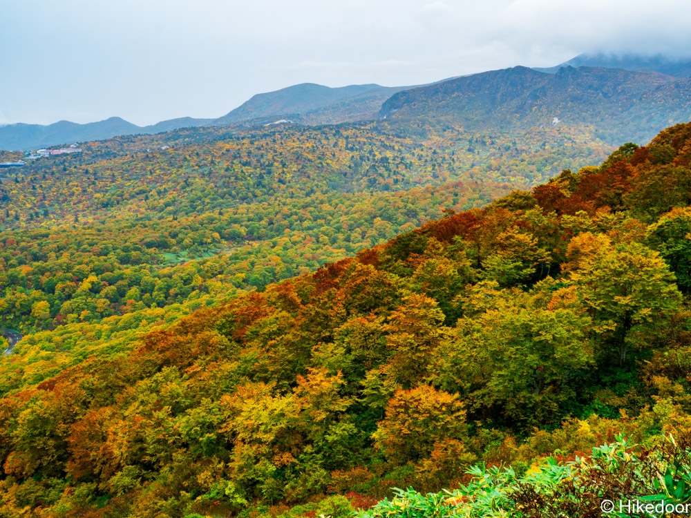 栗駒山紅葉