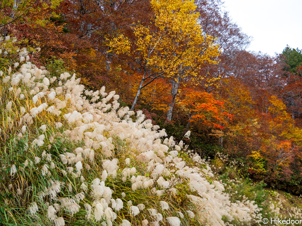 国道352付近紅葉