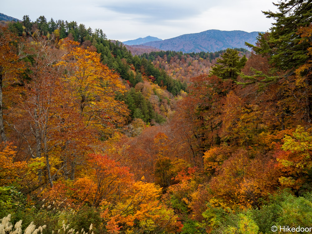 国道352付近紅葉