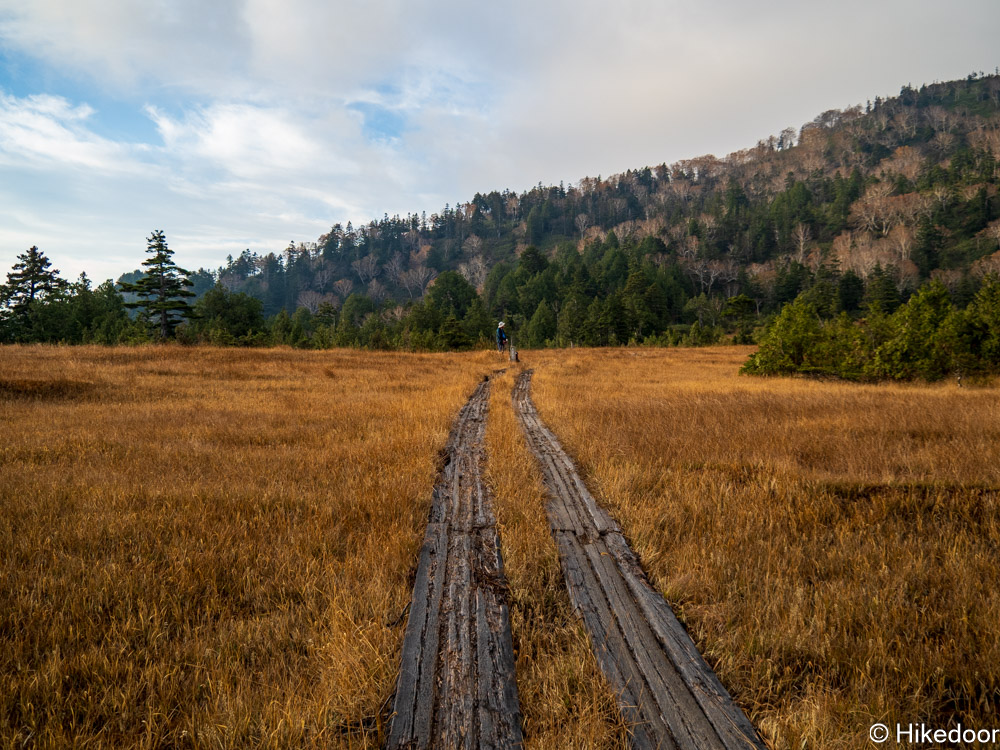 燧ケ岳の草紅葉