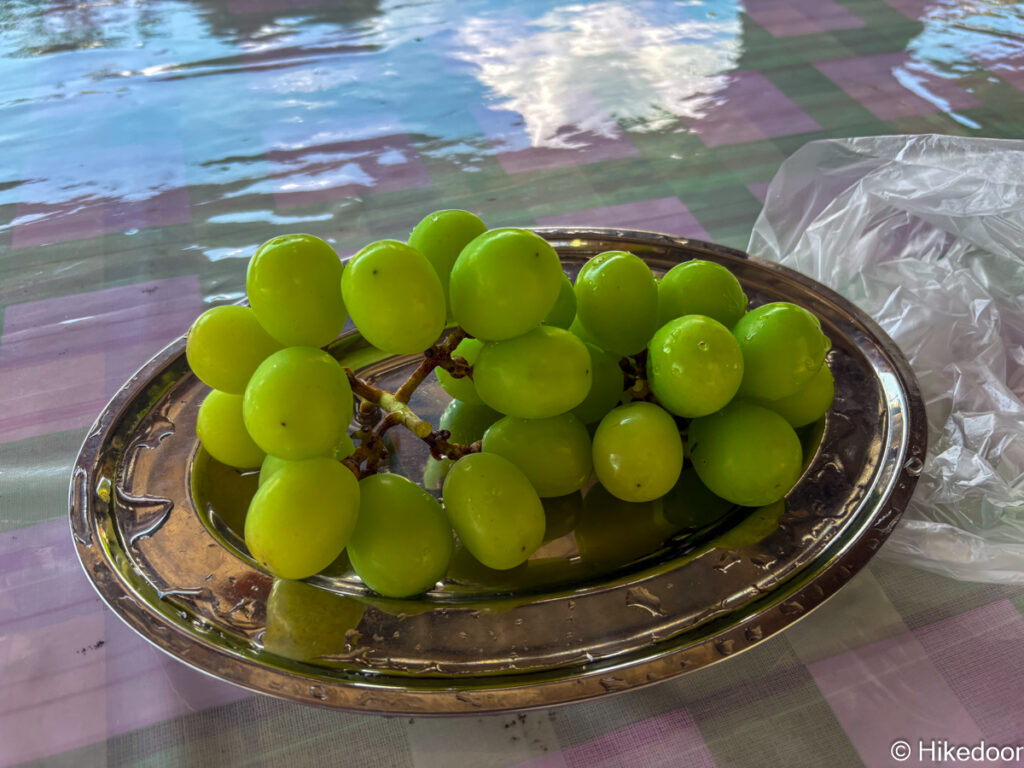 マスカット試食