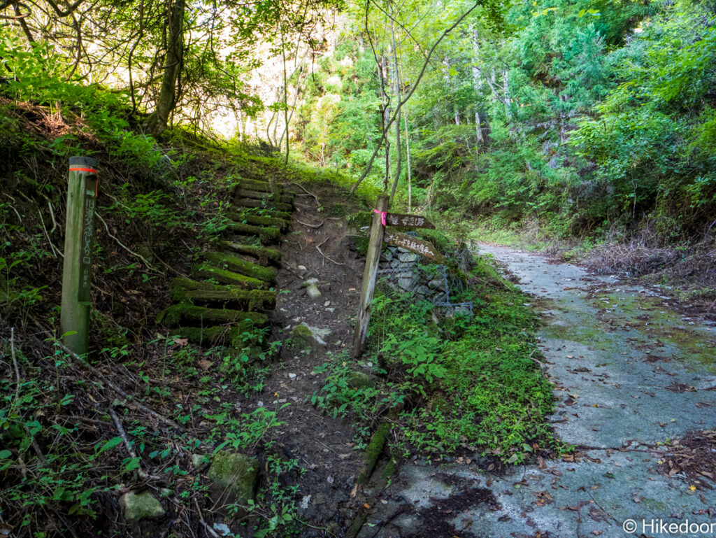 母恋し・父恋し分岐
