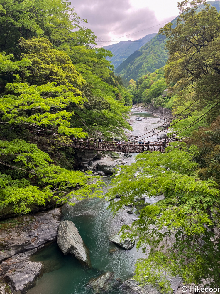 祖谷のかずら橋