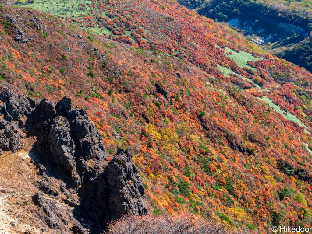 北側斜面の紅葉