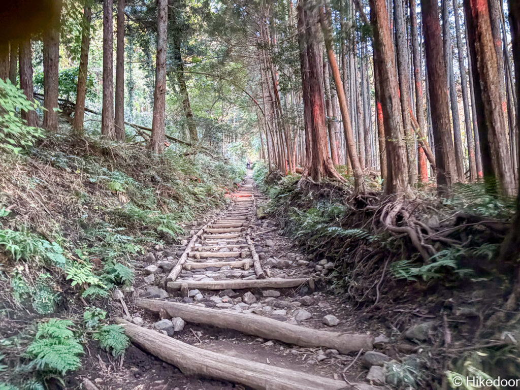 大倉尾根の登山道