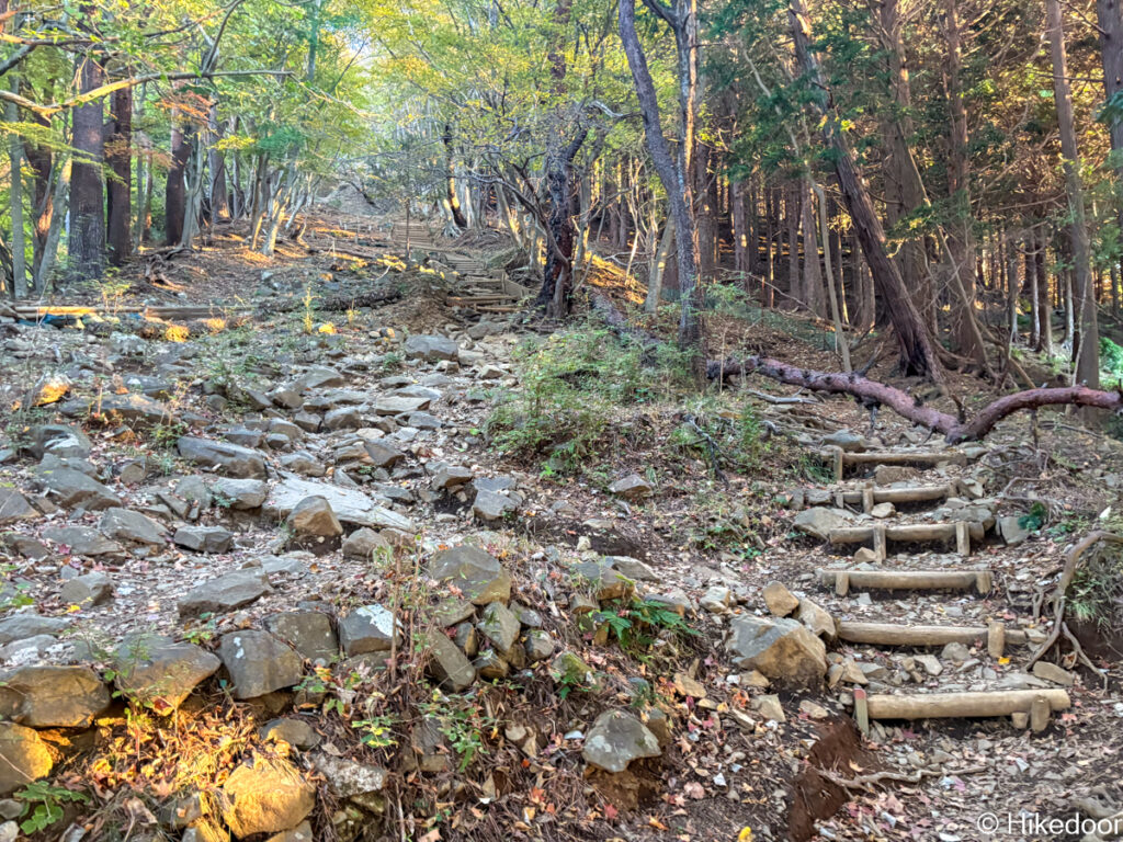 整備が行き届いた道