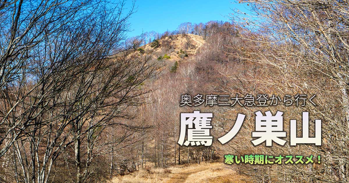 奥多摩三大急登で行く鷹ノ巣山