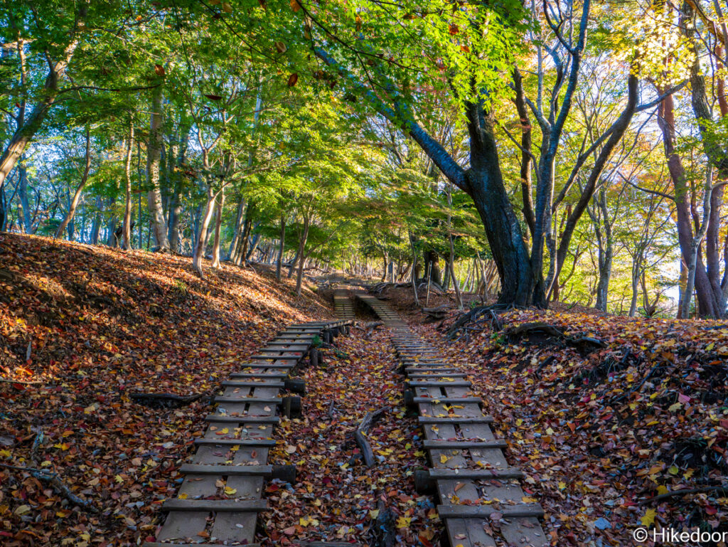 なだらかな登山道