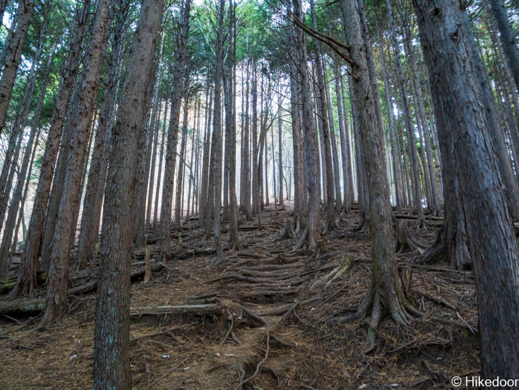 奥多摩三大急登