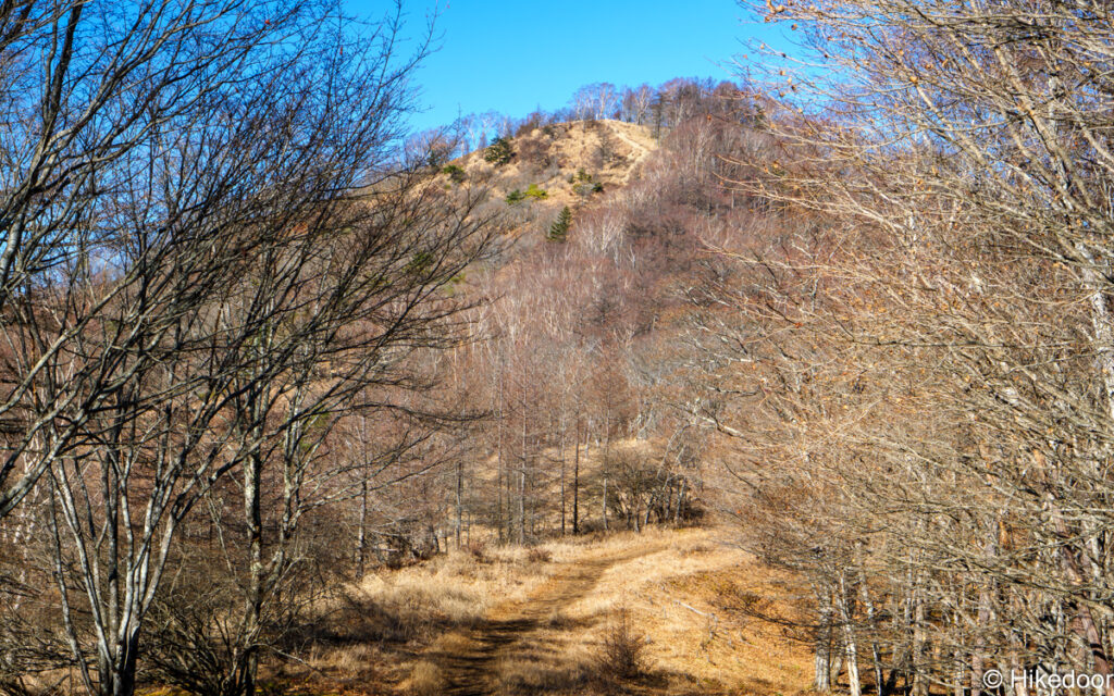 水根山から鷹ノ巣山
