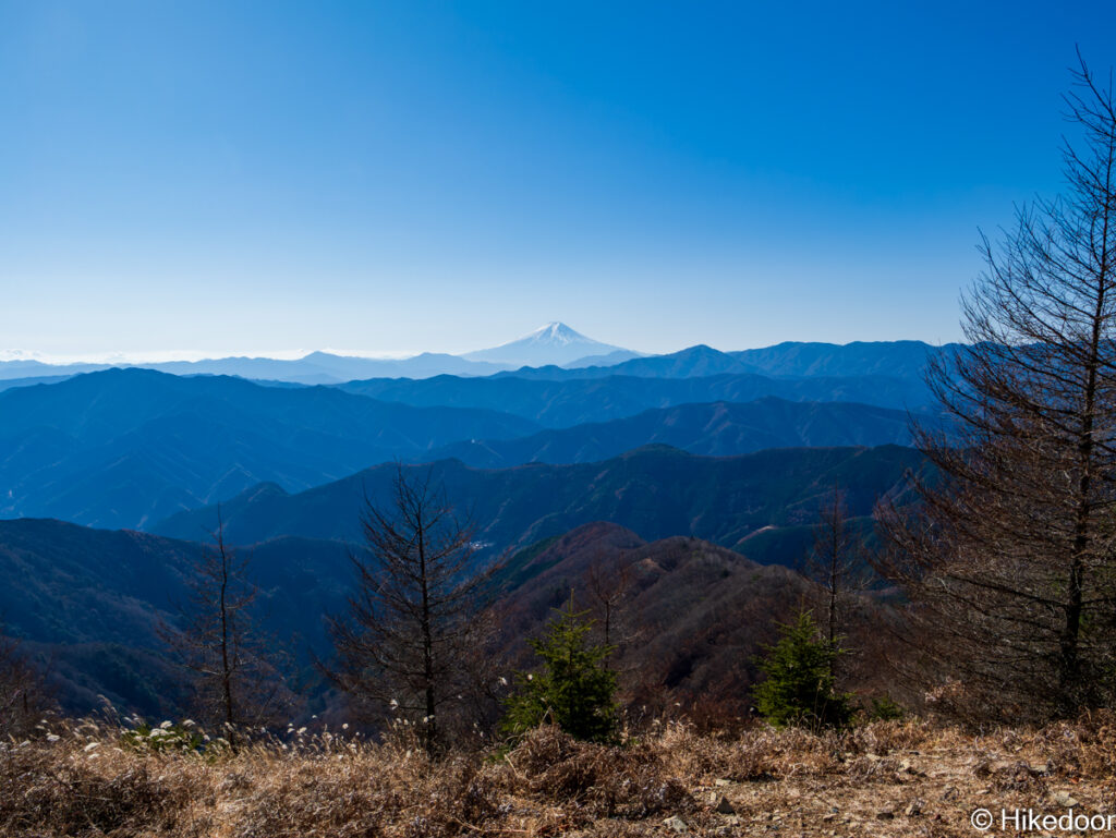 鷹ノ巣山からの富士山